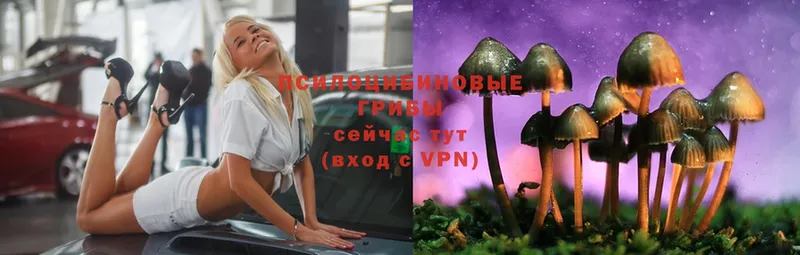 Галлюциногенные грибы MAGIC MUSHROOMS  ОМГ ОМГ зеркало  Сафоново 